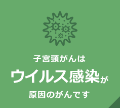 子宮頸がんはウイルス感染が原因のがんです